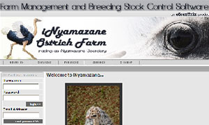 ec-Farming implemented at iNyamazane Ostrich Farm